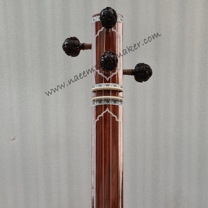 World musical instruments: Tanpura